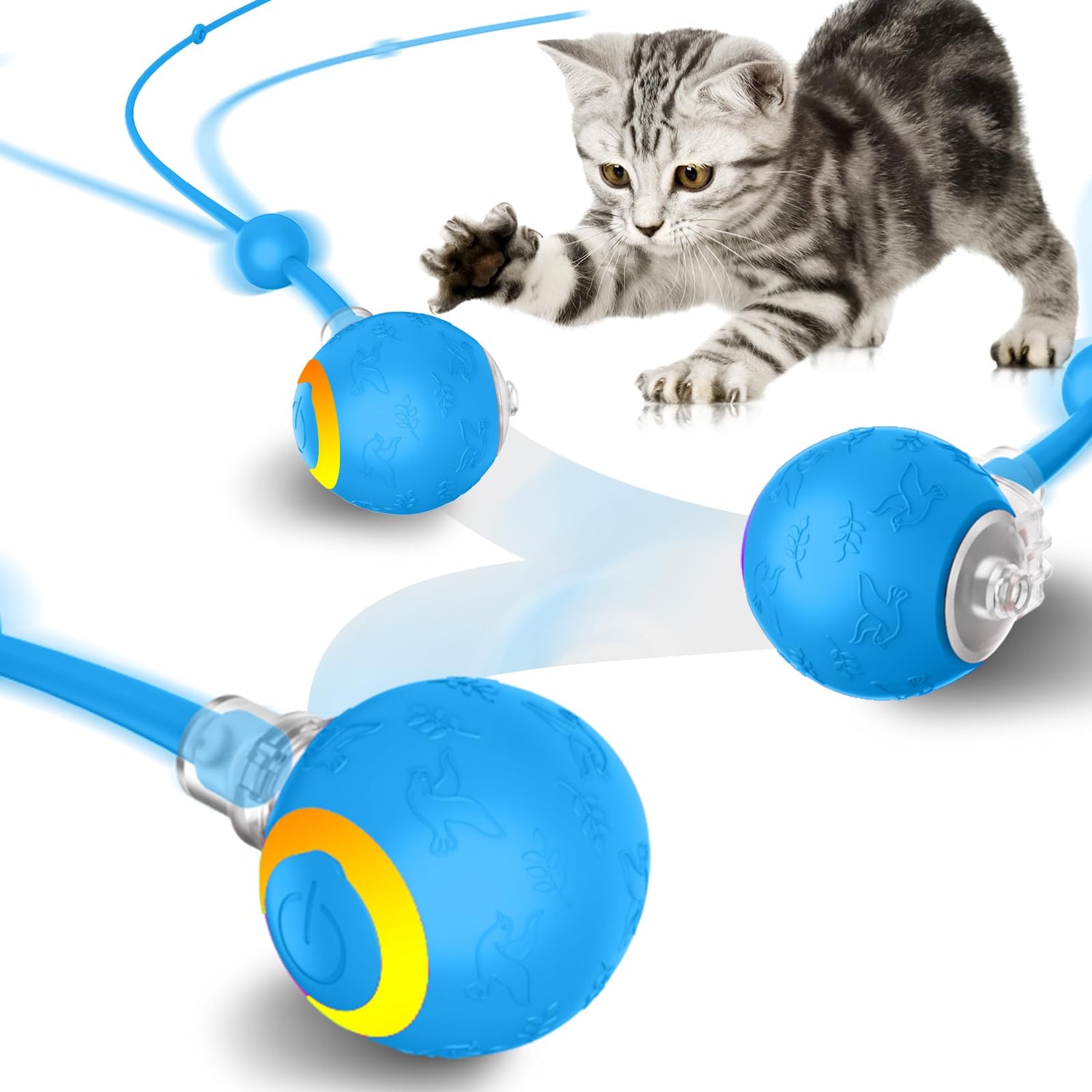 Toys for Dogs and Cats