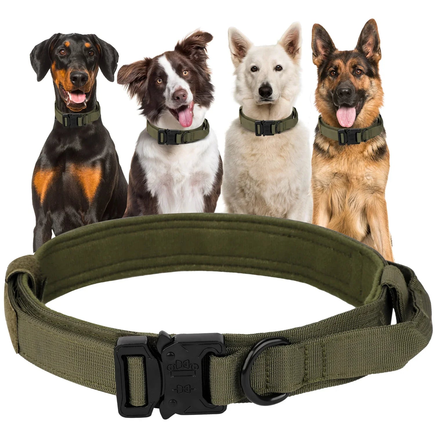 Dog Collars