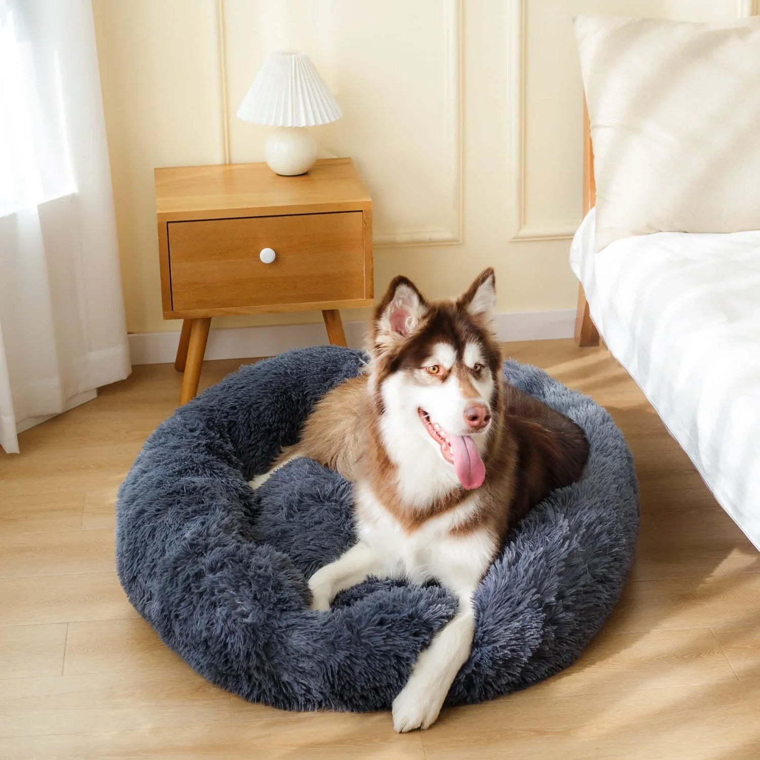 Dog Beds