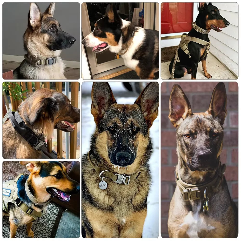 Dog Harness Collar Set Adjustable Tactical Dog Vest Harness And Durable Nylon Dog Collar Combo For Small Medium Large Dogs Outdoor Walking Training
